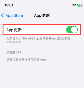 阳江镇苹果15维修中心如何让iPhone15APP自动更新