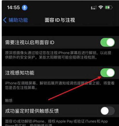 阳江镇苹果14维修网点分享iPhone14注视感知功能有什么用 