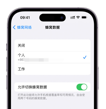 阳江镇苹果维修服务分享如何在iPhone上使用双卡 